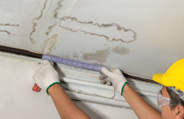 Reliable Burst Pipe Cleanup contractor in Hillrose, CO by Water Damage Irwin